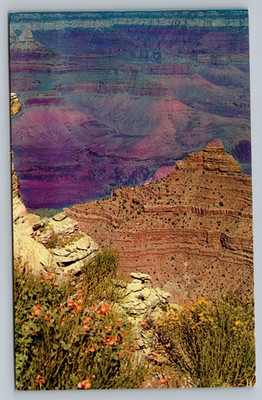 Grand Canyon National Park Arizona AZ Vintage Postcard