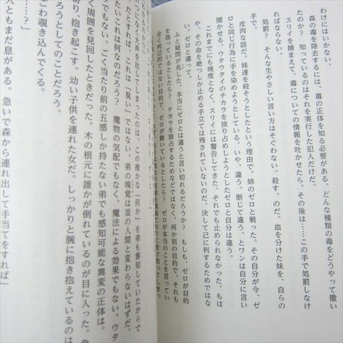 DRAG ON DRAGOON 3 Story Side Novel JUN EISHIMA Japan Sony PS3 Fan Book 2014 SE79 - Picture 5 of 6