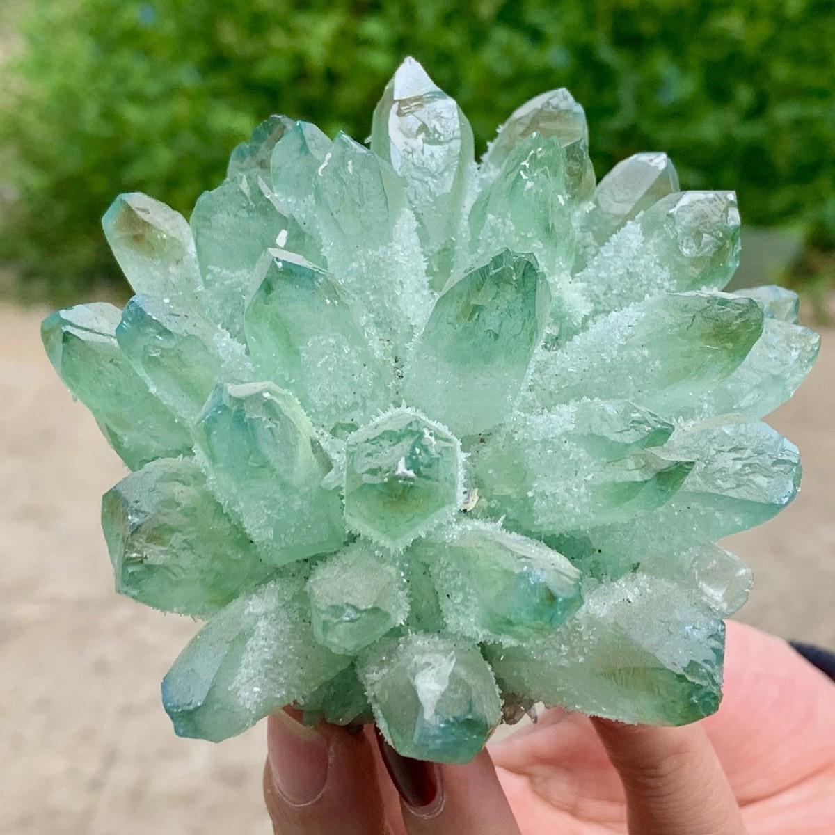379G New Find green PhantomQuartz Crystal Cluster MineralSpecimen