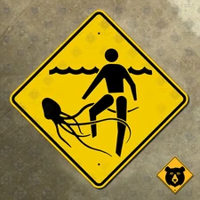 Australia Queensland jellyfish warning highway road sign beach ocean 12x12