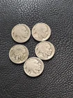 5 Vintage Buffalo Nickels Dateless- Actual Coins You Receive Lot 1