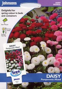 Flower Daisy Pomponette Mixed Johnsons Seeds 250 Seeds Pictorial Pack