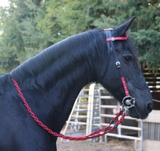 Tolle EINOHRTRENSE mit Strass Showtrense Cob - Full Trense Kopfstück + Zügel