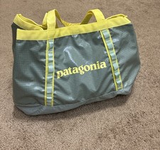 Patagonia Borsa Tote con Foro Nero 25L - Verde Gesso (Rara)