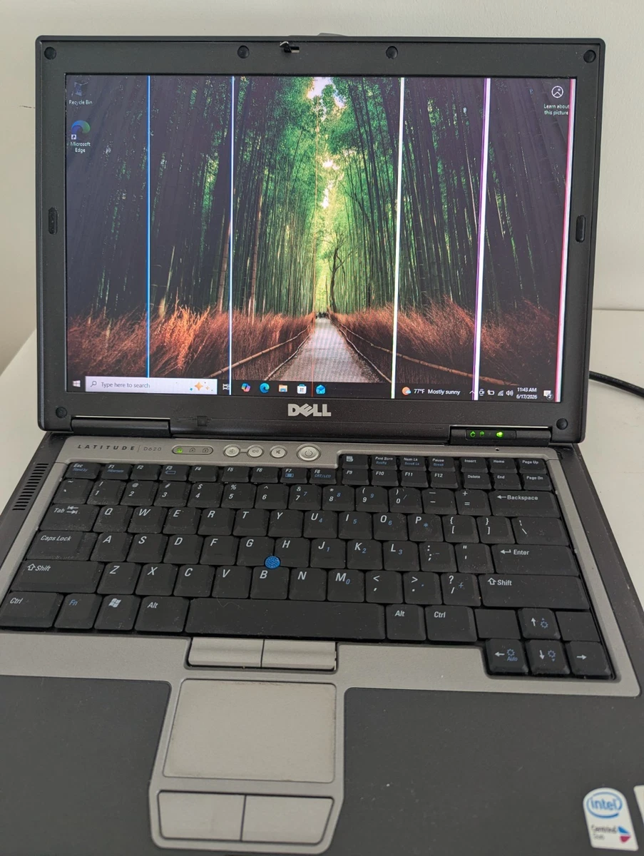 Dell Windows 10 Intel Core 2 Duo 4 GB RAM PC Laptops & Netbooks