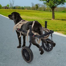 Dog Wheelchair For Back Legs Size XL Pet Rehabilitation Walking Aid 65kg