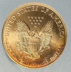 1999 American Eagle Silver - Golden Tone - Littleton Holder - .999 -