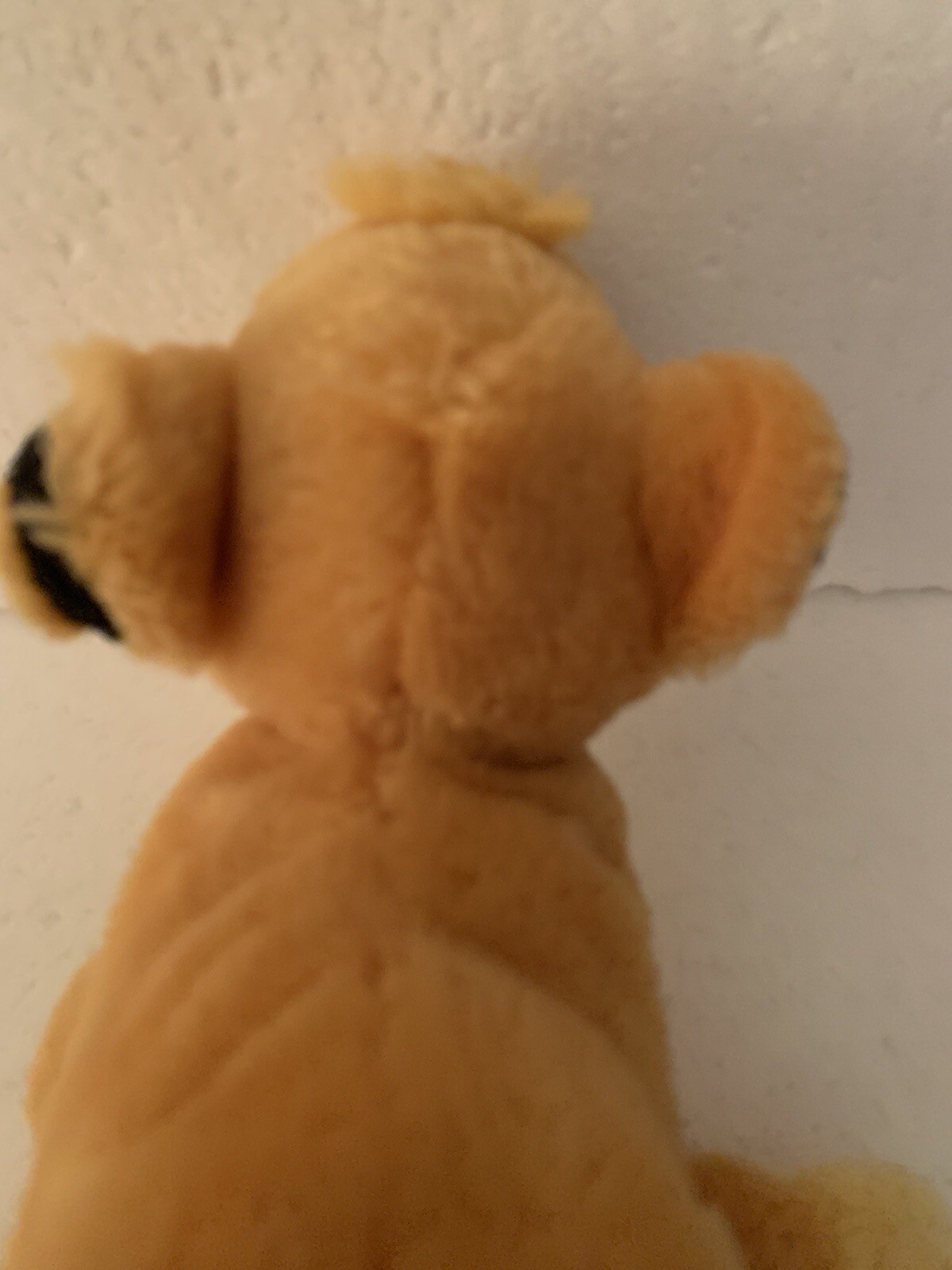 Picture 7 of 9