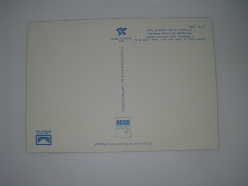 DYRHAM PARK NR BATH DIXON POSTCARD UNUSED - Picture 2 of 2