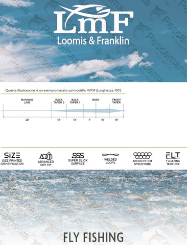 Coda di topo LMF Loomis & Franklin XP SENSE WEIGHT FORWARD WF4F 122 g - 7.9 gm - Picture 2 of 3