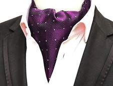 Classic Men Jacquard Polka Dot Purple Scarves Cravat Ascot Necktie Tie Gentleman
