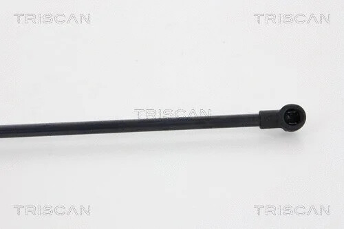 X2 PCS LEFT/ RIGHT TAILE GATE GAS SPRINGS BOOT CARGO 8710 28237 TRISCAN I - Picture 3 of 5