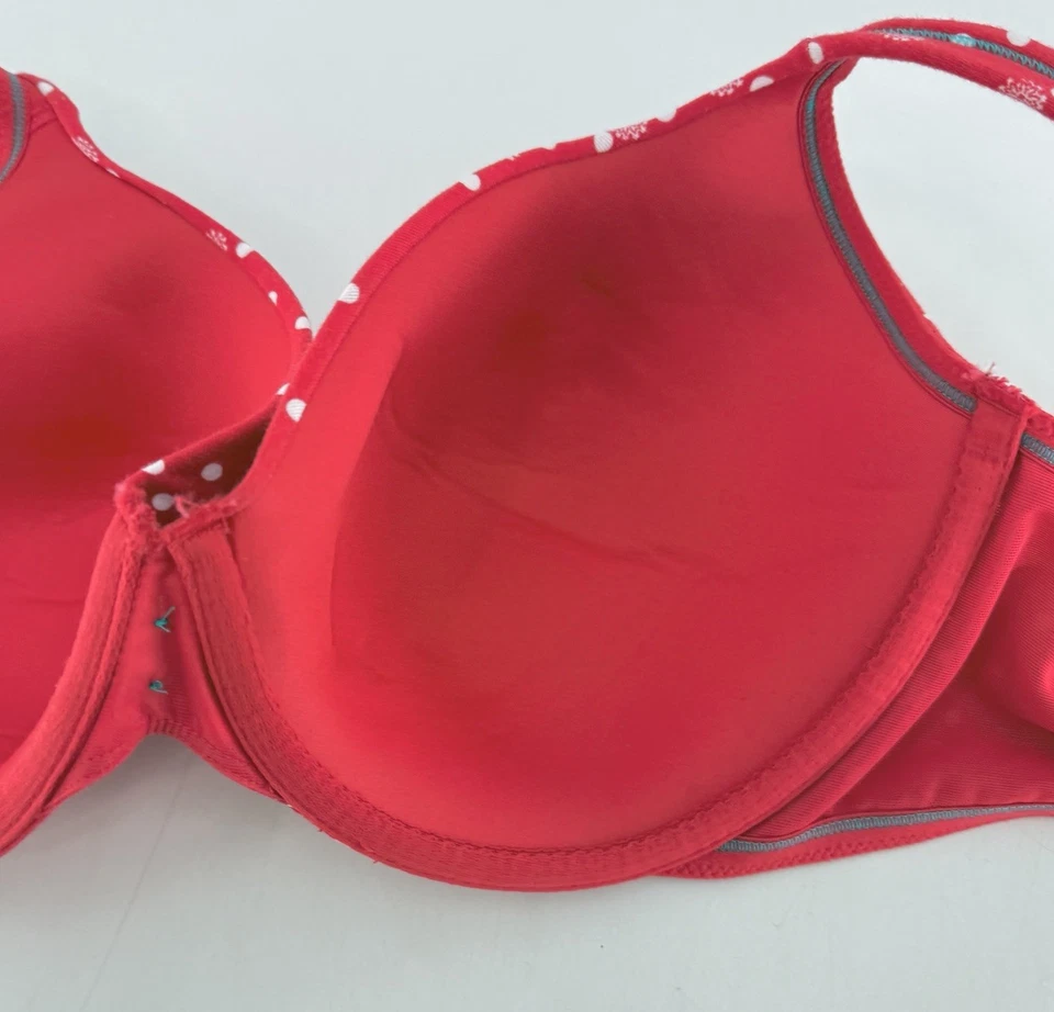 Sutiã Lane Bryant cacique vermelho bolinhas floco de neve 44C férias - Imagem 3 de 4