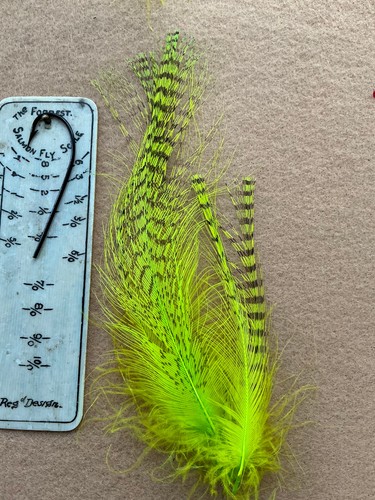 Kori Bustard neck feathers in colors shown - Picture 9 of 9