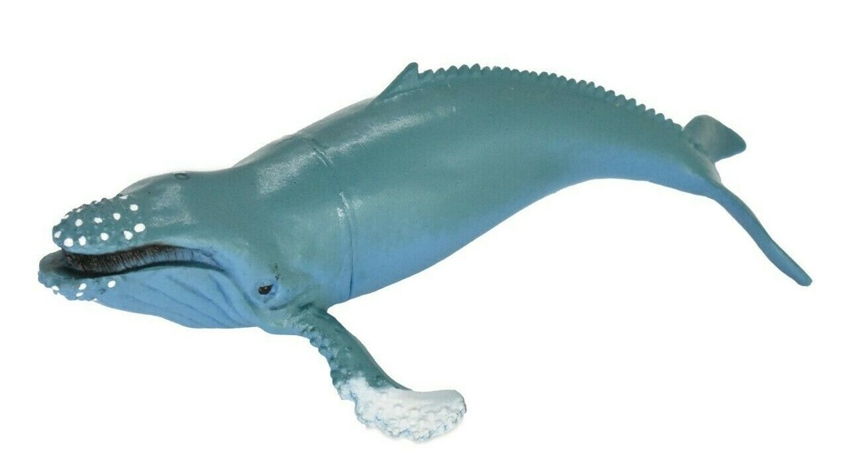 HUMPBACK WHALE 5 IN PLASTIC TOY MODEL - F473B5 MULTI PACK