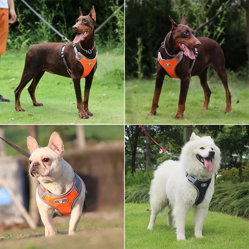 Dog Harness Vest Breathable Dog Training Reflective Nylon Pet Chest Strap New US