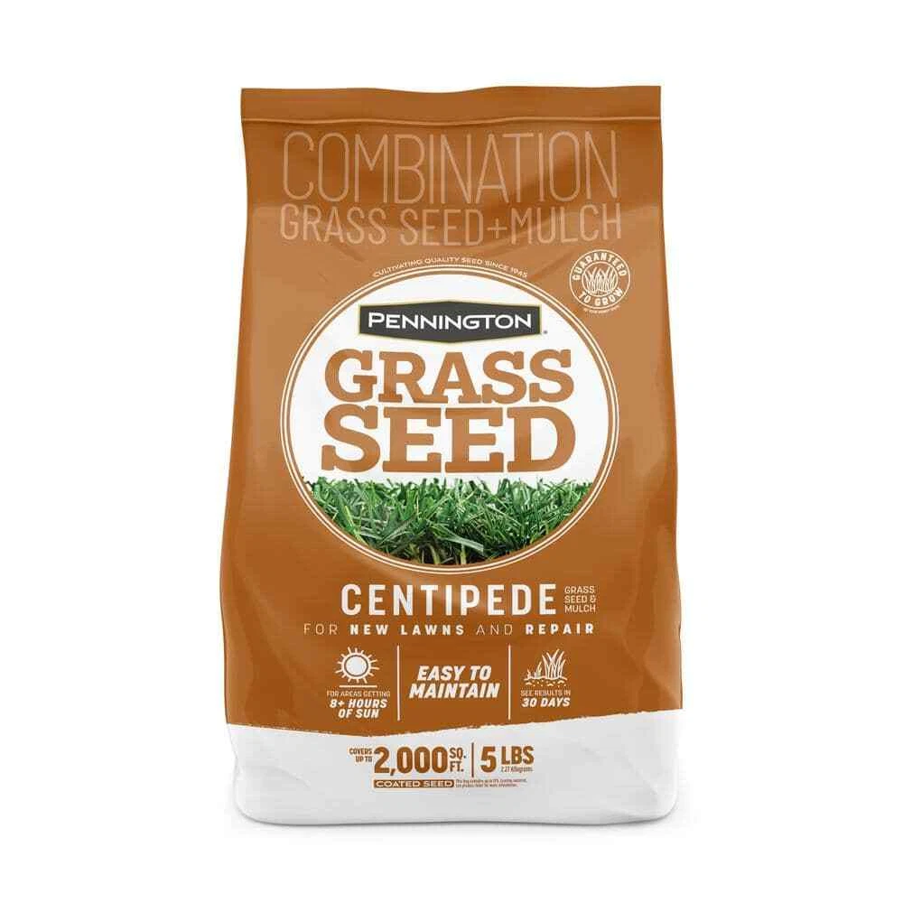 Centipede sale grass seed