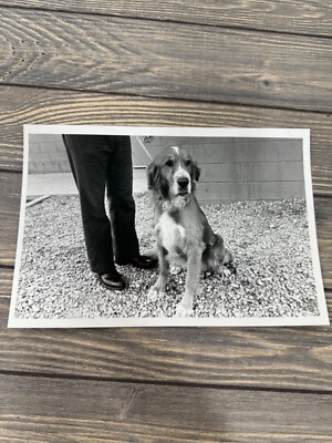 Vintage Black & White Photo Of Man With Dog Named Huck On Gravel Background