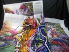 Bild 4 von 8