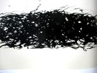 Bild 11 von 12