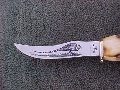 Collectible CASE XX 523-3 1/4 SSP PHEASANT KNIFE NOS + Collectible CASE XX 523-3 1/4 SSP PHEASANT KNIFE NOS +