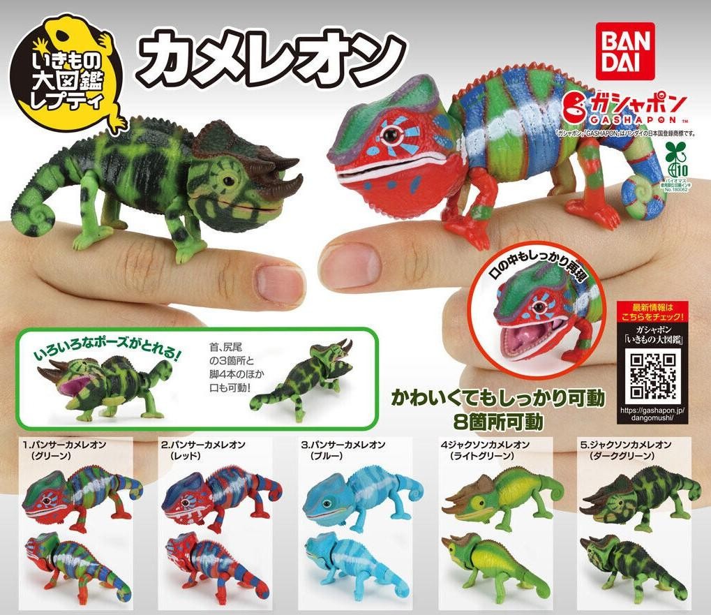 Ikimono Daizukan Chameleon Figure Complete Set of 5 Gashapon