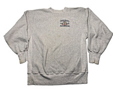 Vintage Northwestern Wildcats Sweatshirt Mens XL Gray NCAA Bowl Football 90s