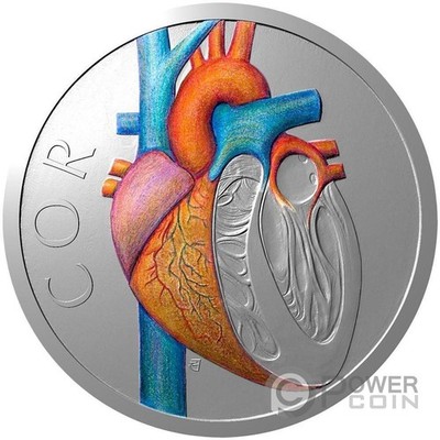CIRCULATORY SYSTEM Human Body 1 Oz Silber Münze 1$ Niue 2026
