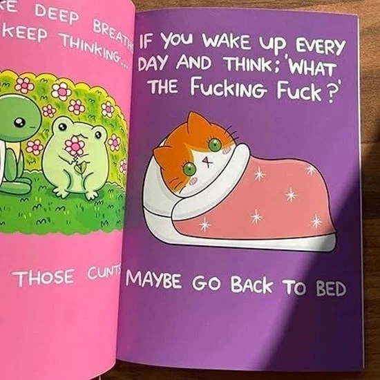 HOW TO SURVIVE THE BULLSHIT English Self Curing Life Knowledge Book For Beginner - image 3 of 4