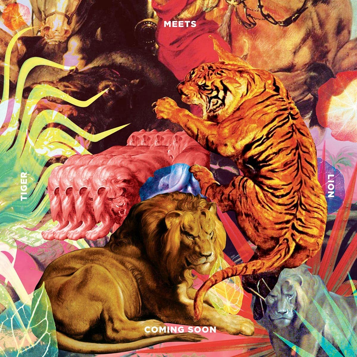 Coming Soon Tiger Meets Lion (CD)