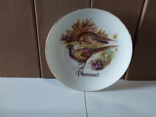 Mini Plate Pheasant Wall Hanger