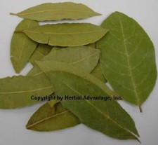 Bay Leaf Whole 1/4 LB PREMIUM QUALITY