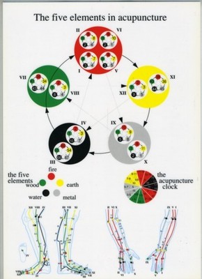 FIVE ELEMENTS by PLASTIFIED A Map Self Help Business