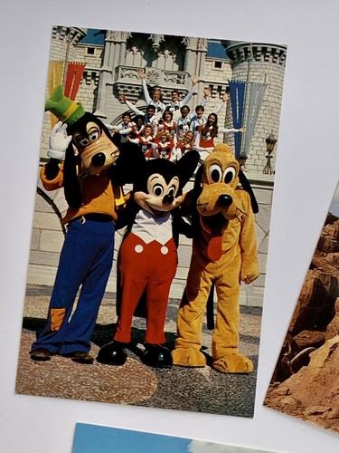 Orlando, Florida ~ Walt Disney World ~ Vintage Postcard Lot - Picture 5 of 6