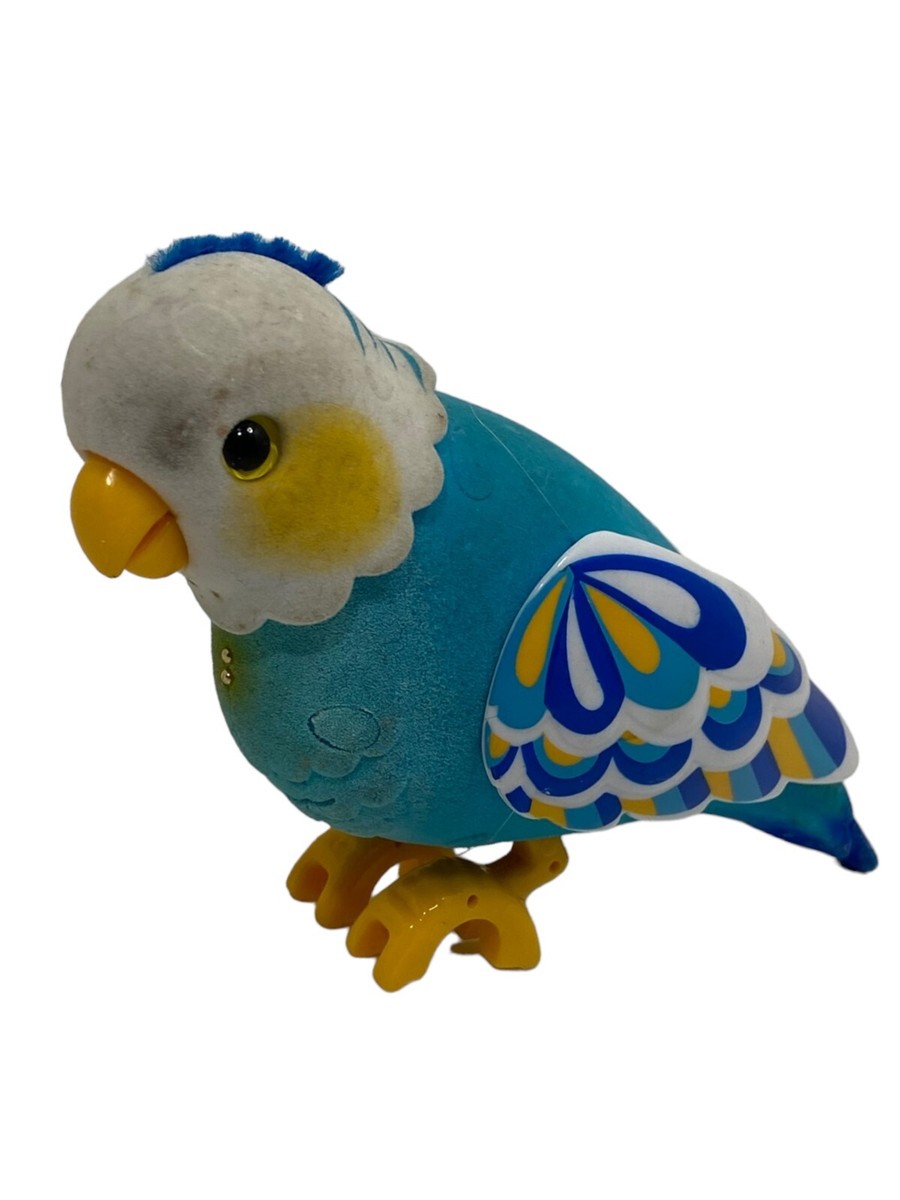 Cleverkeet Deals Little Live Pets Bird Cleverkeet Instructions
