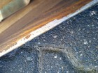 Bild 18 von 18