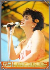 LINDA RONSTADT – rare original 1978 Asylum/Warner-Pioneer promo poster *HUGE*