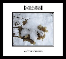 COLLECTION D'ARNELL-ANDREA Another Winter CD Digipack 2019