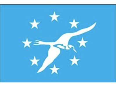 10cm Car Decal Sticker Decal Corpus Christi Flag Flag Texas F981