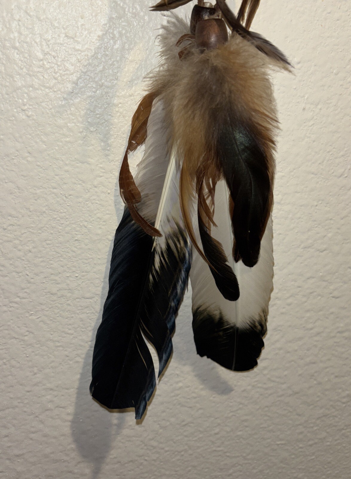 Bild 6 von 6