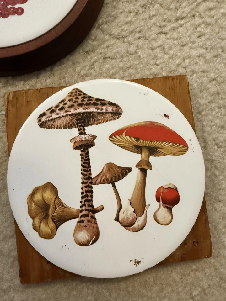 Lote de 7 remaches vintage incluyendo decoración de setas y manzanas y madera básica Foto 3 de 4