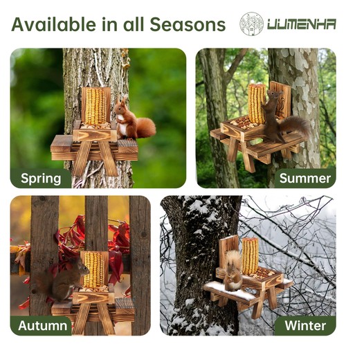 Squirrel Feeder for Outside Funny, Carbonized Wood Squirrel Picnic Table Feed... - Picture 6 of 6