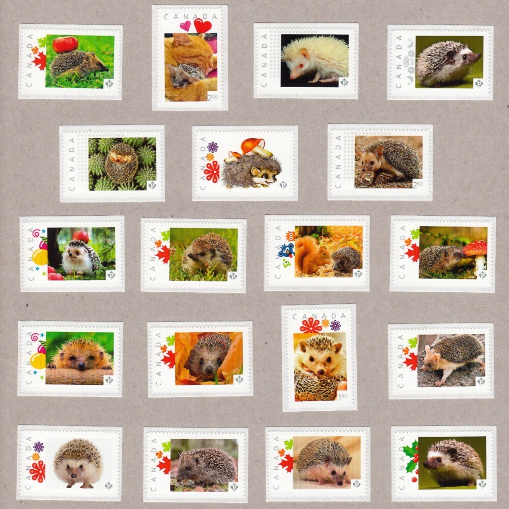 HEDGEHOG = collection of 19 PICTURE POSTAGE stamps MNH Canada 2014-2015