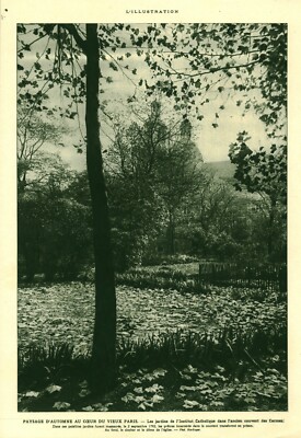 Reklame altes Dokument Herbstlandschaft altes Paris 1925 Ausgabe Zeitschrift
