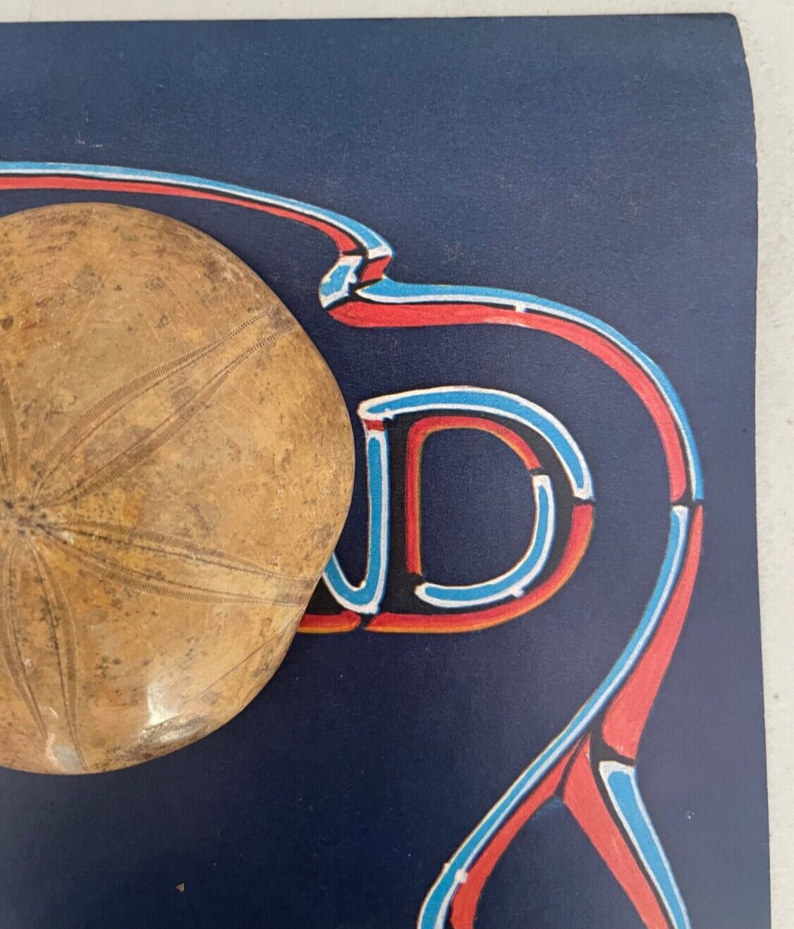 Picture 3 of 10
