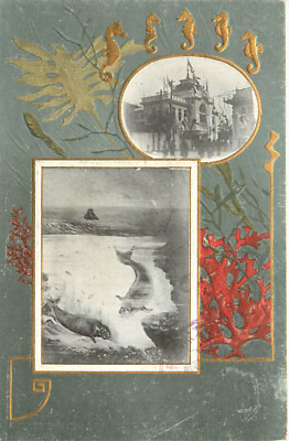 Japanese Art Nouveau Postcard Multiview Seals Kelp Seahorses Red Coral UDB