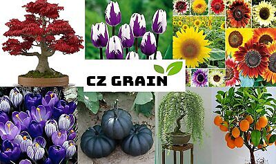 ZOMBIE PLANT Seed Packets (2) - (It