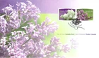 🍁Canada   #2207/2208   "LILACS"   Brand New  2007  First Day Cover