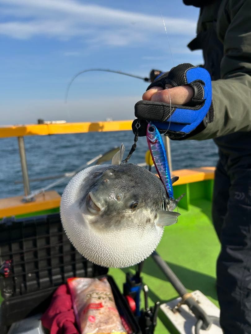 Fishing Lure Daiwa Daiwa TG bait style metal jig 150g X5 Tokyo Bay Ibaraki Osaka - Image 3