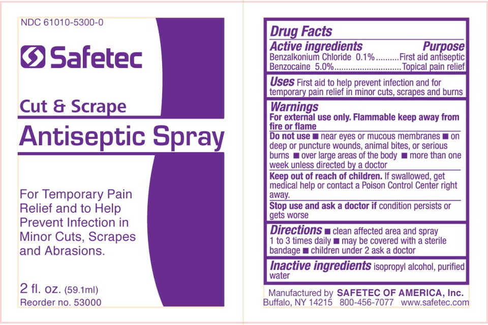 Cut & Scrape Cleaner Antiseptic Analgesic Spray 2oz, 53000 | eBay